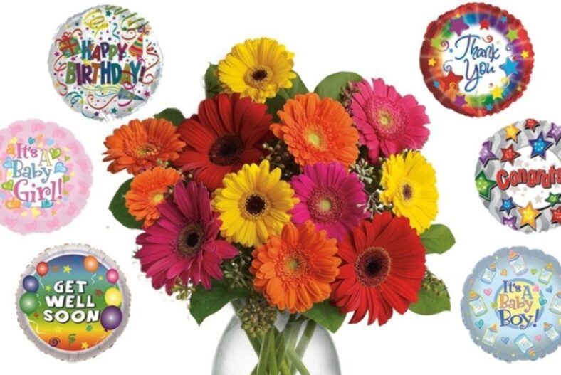 12 Mixed Gerberas Bouquet & Choice of Balloon – flowersdelivery4U £19.99 instead of £39.99