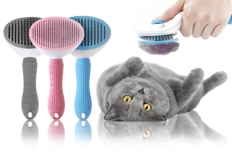 Pet Hair Remover Brush – Thick or Thin Bristles! £4.99 instead of £9.99