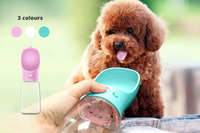 From £7.99 instead of £24.99 for a three in one portable dog drinking water bottle, dispenser, and bowl from Beefy Goods – save up to 68%