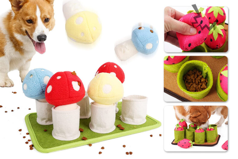 Interactive Mushroom 3-in-1 Puzzle Dog Food Toy £14.99 instead of £29.99