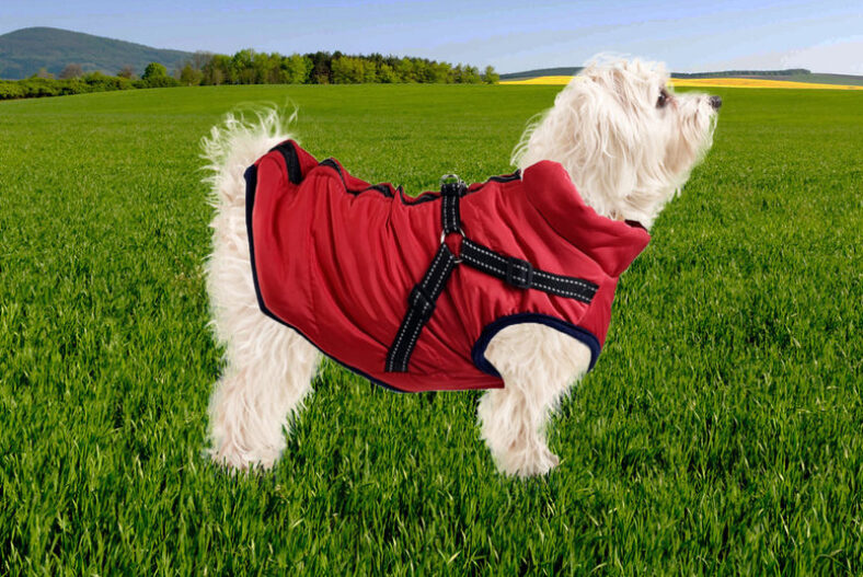 Comfy Cosy Fleece for Dogs – 7 Sizes, 5 Colours £9.99 instead of £29.99