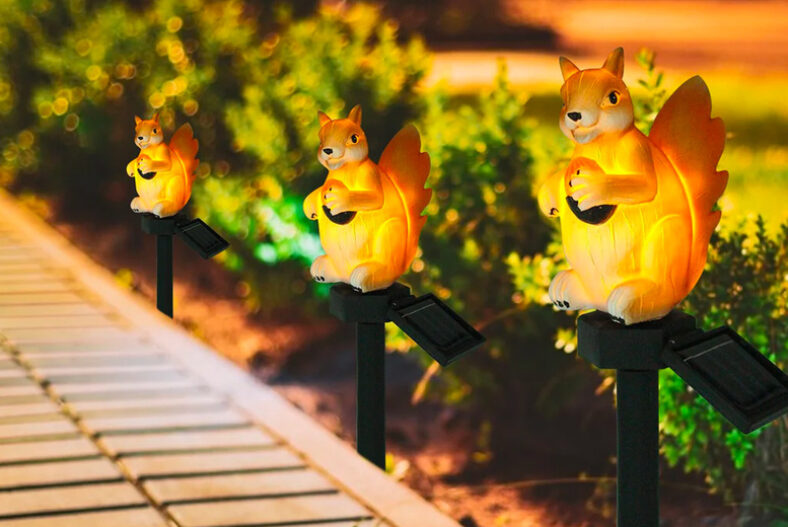 LED Solar Squirrel Outdoor Lamps – 1, 2, 4 or 6 £11.99 instead of £29.99