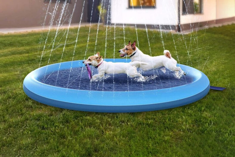 From £13.99 instead of £29.99 for a splash pad sprinkler for pets from Shop In Store – save up to 53%