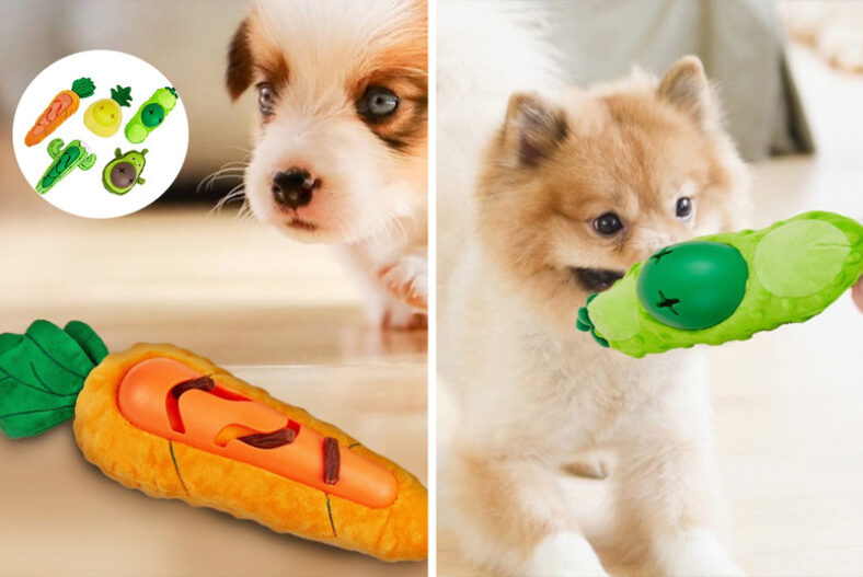 £9.99 instead of £22.99 for a fillable calming dog slow feeder chew toy from Beefy Goods – save 57%