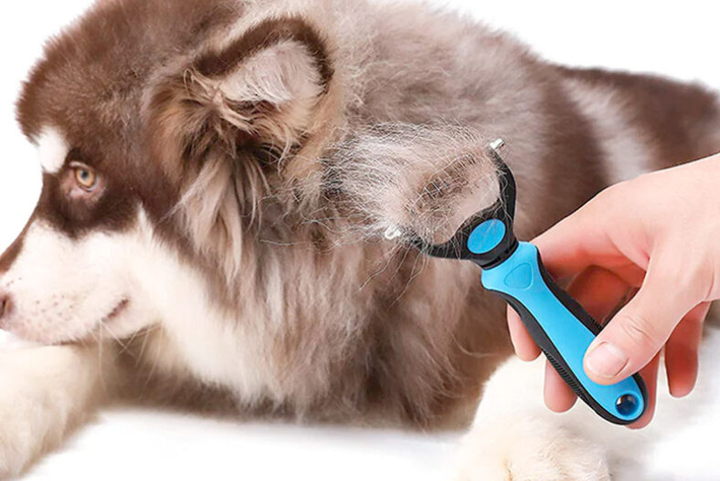 £9.99 instead of £21.99 for a double sided pet grooming brush in pink or blue colours from Prime Supply – save 55%