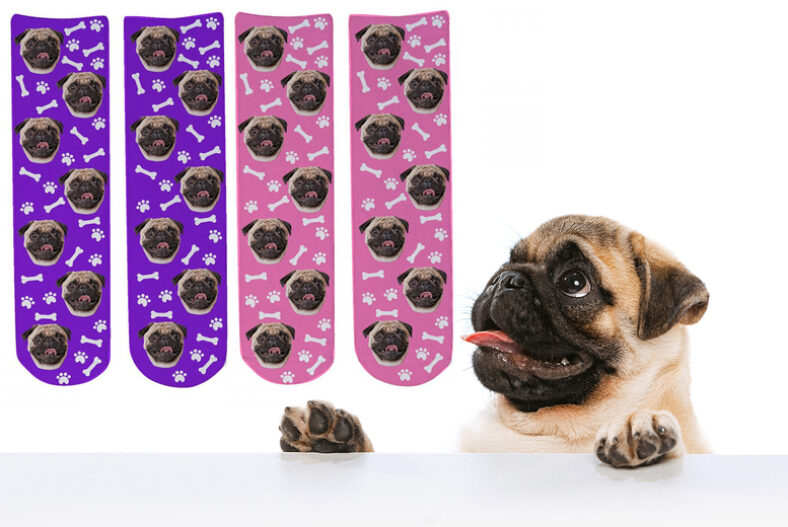 From £7.99 instead of £17.99 for a pair of personalised pet face socks from Deco Matters – save up to 56%