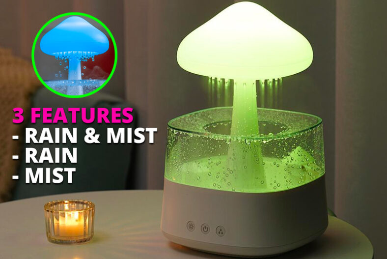 From £27.99 instead of £109.99 for a white multicolour rain cloud humidifier or £36.99 for a wood humidifier from UK Dream Store – save up to 75%