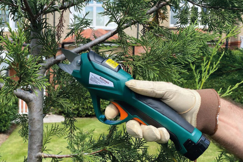 £89 instead of £129.99 for a 2-in-1 cordless pruner with telescopic pole from Direct Xpress Limited – save 32%
