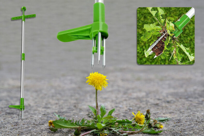 From £9.99 instead of £59.99 for a stand up manual weeding tool from UK Dream Store – save 67%