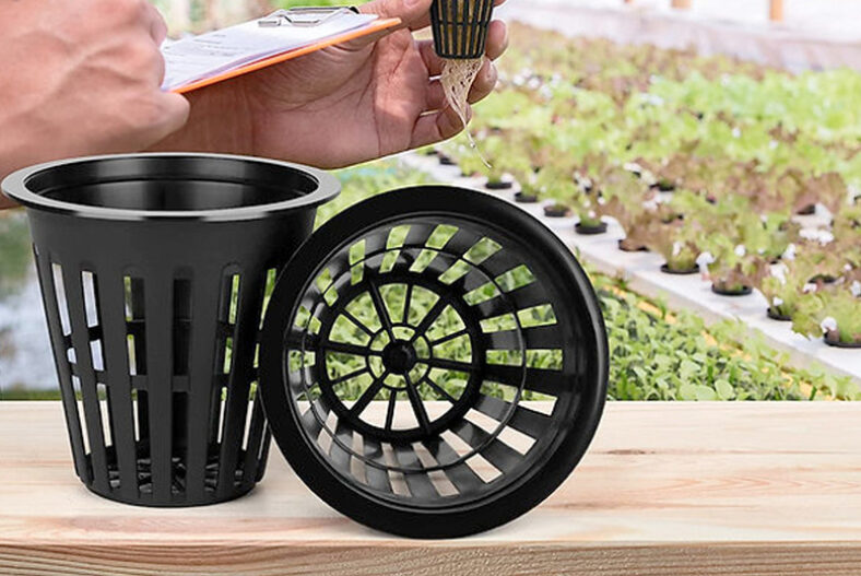 £7.99 instead of £22.99 for a pack of 50 two inch garden net plant pots or £14.99 for a 100 piece set from Just Dealz – save up to 65%