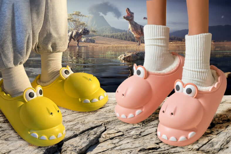 Novelty Plush Dinosaur Slippers – 5 Colours! £15.99 instead of £39.99