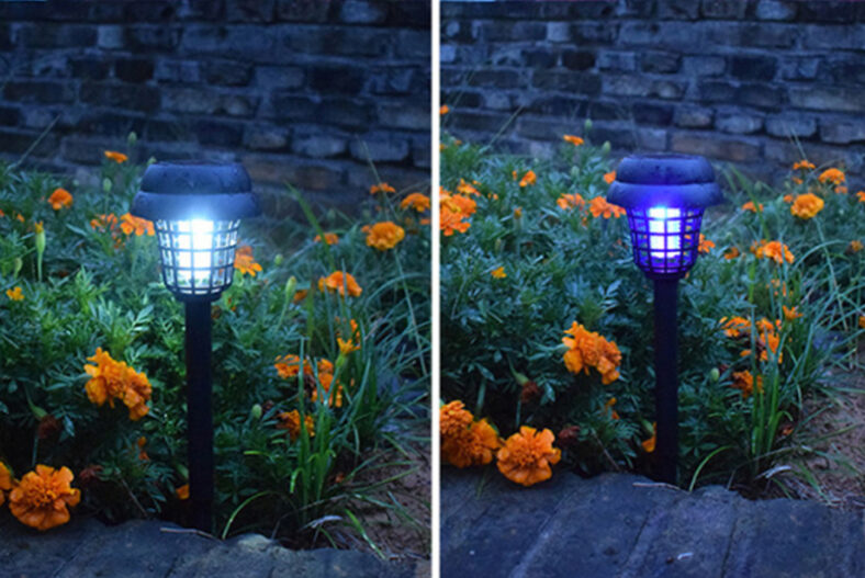 Solar Ultra Beam Garden Light – 2, 4 or 6 Pack £11.00 instead of £34.99