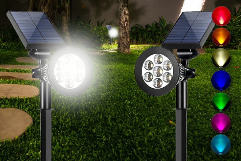Outdoor LED Solar Garden Light – 2 Options £12.99 instead of £32.99