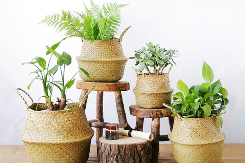 Foldable Seagrass Basket – 3 Sizes! £6.99 instead of £29.99