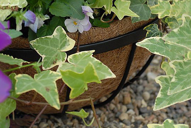 Hanging Basket Coco Liners – 3 Options! £5.99 instead of £11.18