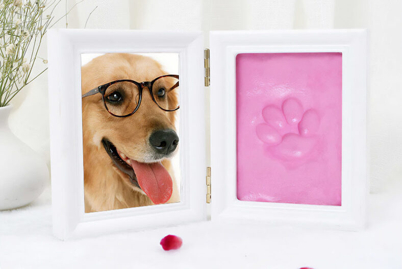 Pet Paw Print Photo Frame – Six Colours! £12.99 instead of £49.99