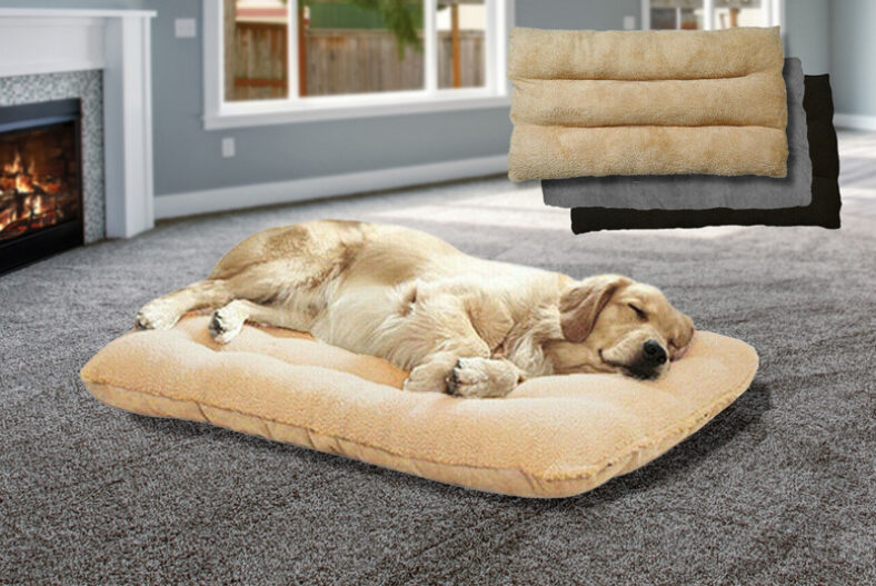 Faux Fur Extra Support Pet Bed – 3 Sizes & 3 Colours £12.99 instead of £24.99