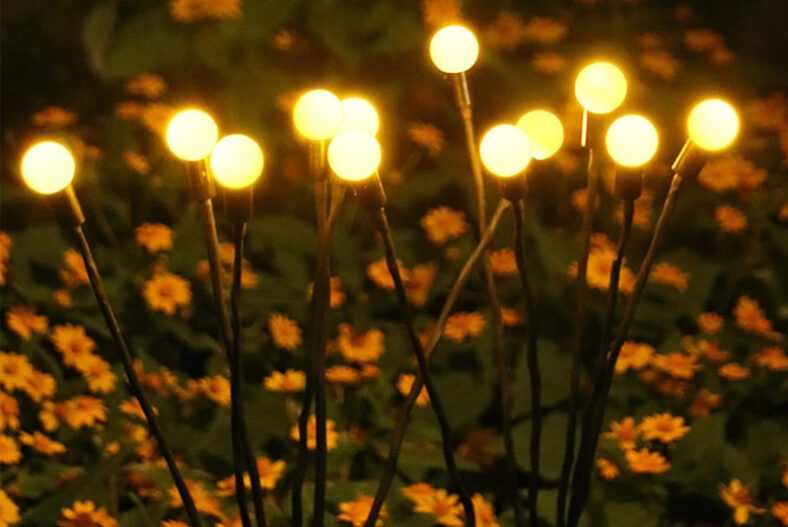 Floating Firefly Solar LED Garden Lights – 1 or 2pk £7.99 instead of £15.98