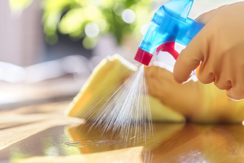 Spring Clean Services – Sparkle Cleaning Services – Manchester £99.00 instead of £199.00