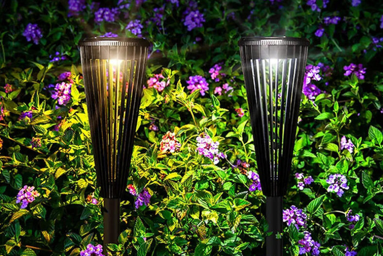 £11.99 instead of £29.99 for a pack of two Outdoor Solar Powered Garden Walkway Lights from Just Dealz – save 60%