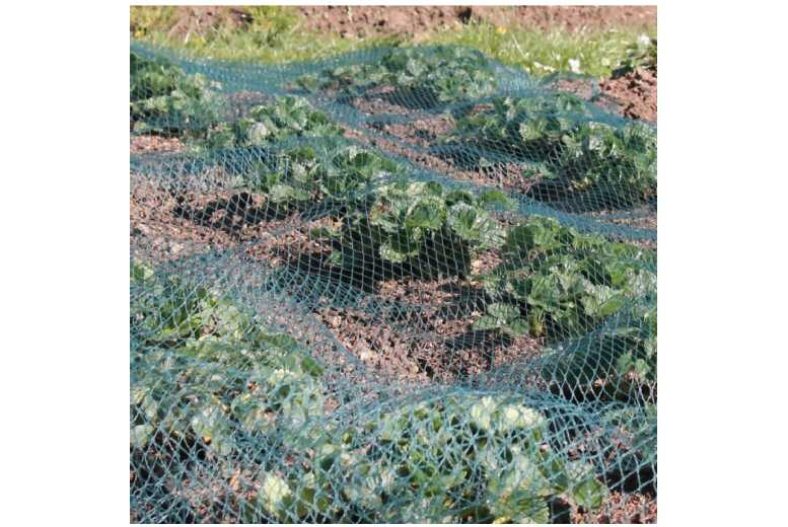 Protective Pond Netting – 3M X 2M £4.99 instead of £11.98