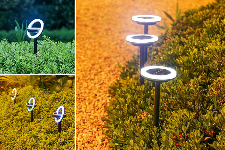 Solar Powered Waterproof Garden Lamp in 2 Colour Options £6.99 instead of £19.99
