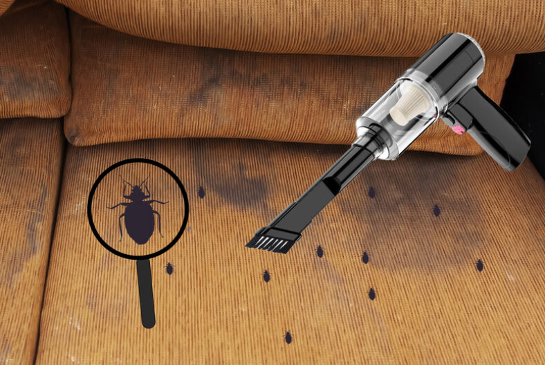 Powerful Bed Bug Vacuum – Pillows, Seats, Mattress, Clothes! £8.99 instead of £29.99