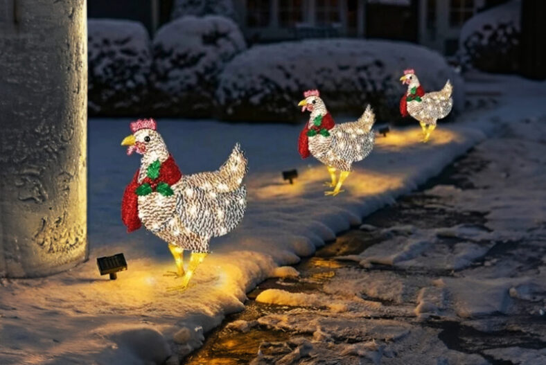£6.99 instead of £19.99 for a 1pc LED Christmas Chicken Outdoor Decoration in small, £9.99 for one piece in large, £12.99 for three pieces in small or £19.99 for three pieces in large from Obero – save up to 65%