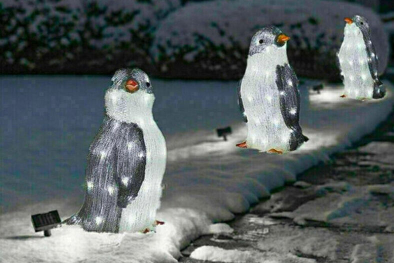 Set of 3 LED Christmas Penguin Decor in 2 Sizes and 2 Options £12.99 instead of £29.99