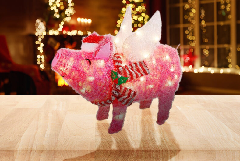 £9.99 instead of £19.99 for a light up pink flying pig Christmas decoration or £12.99 for a large flying pig Christmas decoration from Obero – save up to 50%