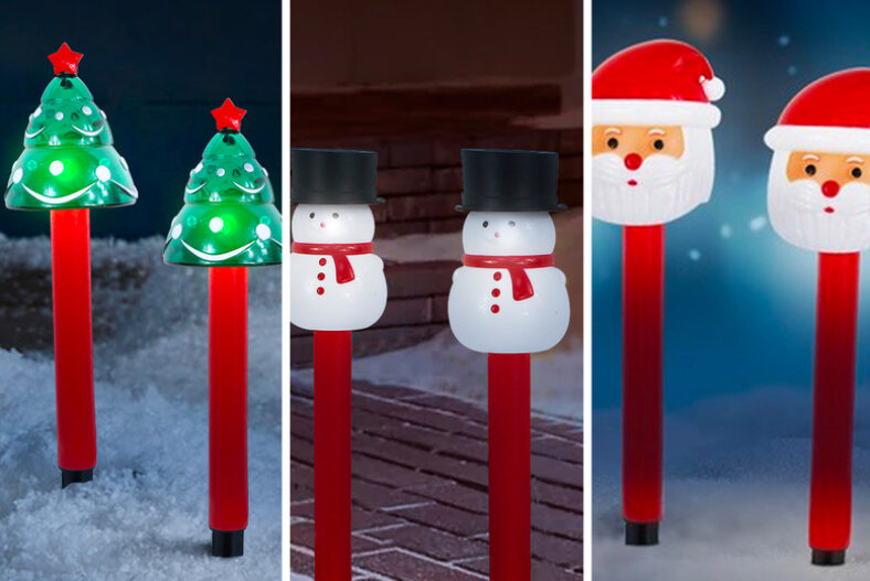 Solar Powered LED Stake Lights in 4 Options and 3 Designs £9.99 instead of £19.99