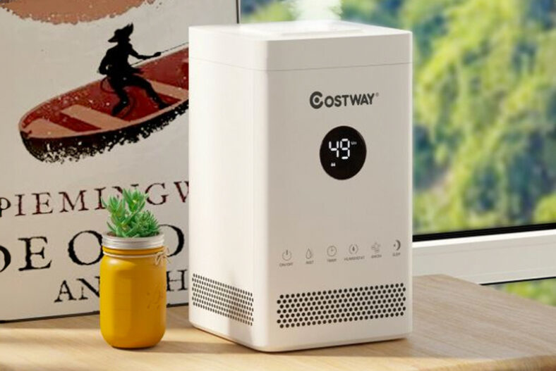 Mist Humidifier with Adjustable Ultrasonic £34.99 instead of £52.95