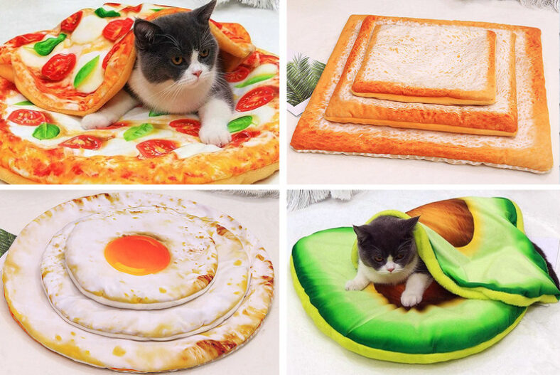 Food-Inspired Pet Bed in 5 Designs and 3 Sizes £4.99 instead of £9.99