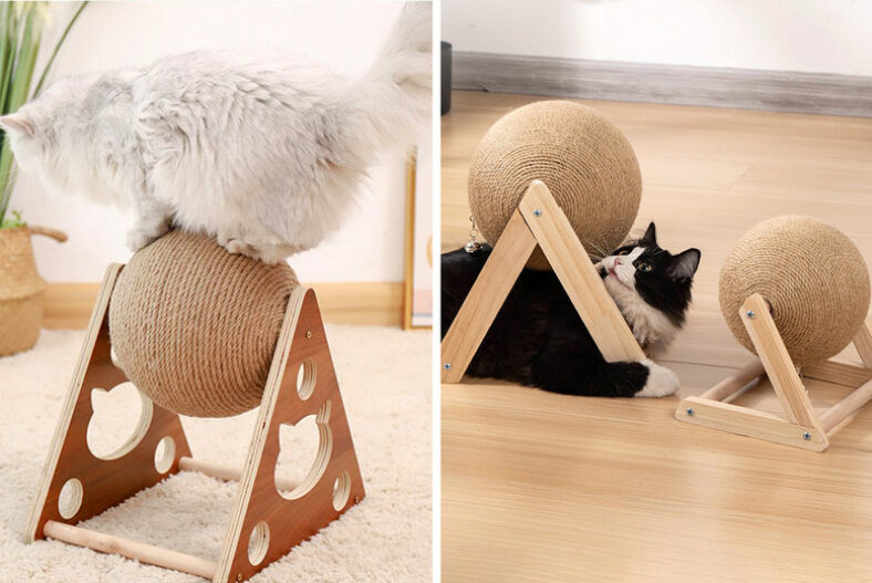Wooden Cat Scratching Ball Toy in 3 Sizes and 3 Shapes £12.99 instead of £29.99
