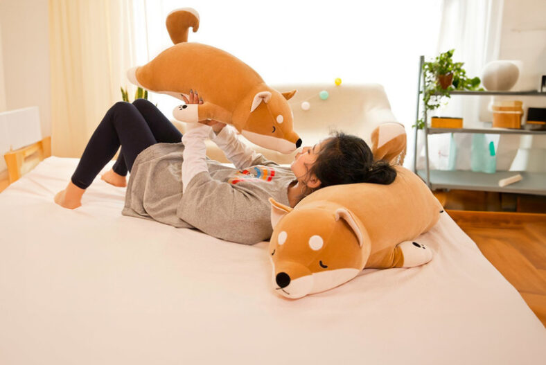 Cute Shiba Dog Plush Toy in 3 Size Options £11.99 instead of £19.99