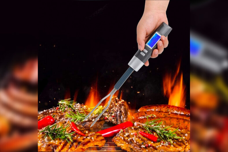 2-In-1 Digital Meat Thermometer Fork £7.99 instead of £19.99