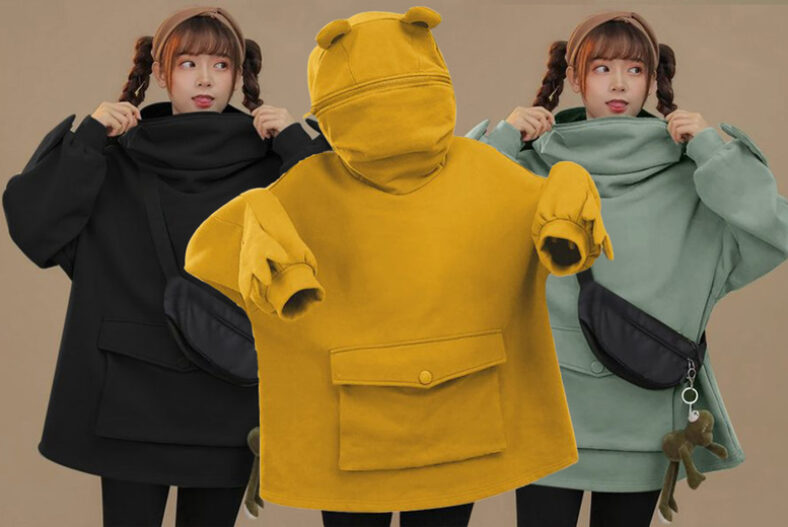 Cute Frog Oversized Hoodie in 6 Sizes and 4 Colours £9.99 instead of £29.99