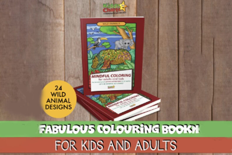 All Things Colouring – Digital Colouring Books in 4 Options £3.00 instead of £5.95
