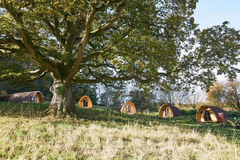 A 4* Forest of Dean, Gloucestershire glamping stay at Whitemead Forest Park for two adults and up to two children with spa access, a marshmallow toasting pack and adventure golf. From £49 for one night, from £89 for two nights, or £159 for a weekend stay – save up to 53%