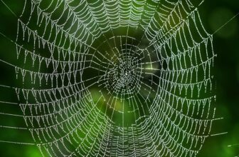 An Introduction to Neural Networks: How They Work and Why They Matter