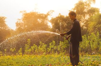 Top 10 Leading Companies Revolutionizing the Gardening Services Industry