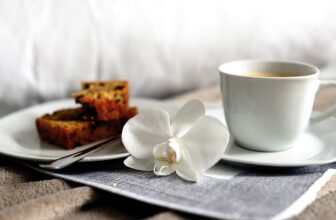 Top 10 Bed and Breakfast Companies Revolutionizing the Hospitality Experience