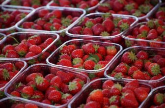 Revolutionizing Farming: The Transformative Role of AI in Modern Agriculture