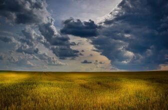 Bridging the Gap: How AI is Simplifying Legal Language and Enhancing Probate Processes in the UK