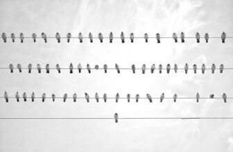Streamlining Corporate Governance: How AI Simplifies Compliance and Unlocks Benefits for Businesses