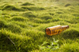 Smart Earth: Harnessing AI for Innovative Environmental Monitoring Solutions