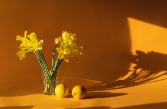 Top 10 Home Staging Companies Transforming Real Estate Aesthetics