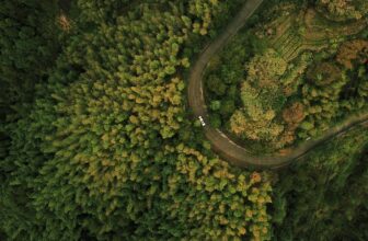 Sky’s the Limit: How AI is Revolutionizing Drone Technology and Its Applications