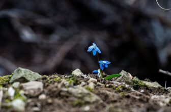 Unlocking Potential: AI-Powered Strategies for Audience Growth and Their Transformative Benefits