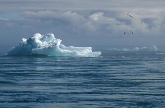 Artificial Intelligence: A Game Changer in the Fight Against Climate Change